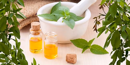 Herbal Apprenticeship with Gigi Stafne