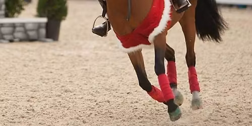 WESEV Christmas rally