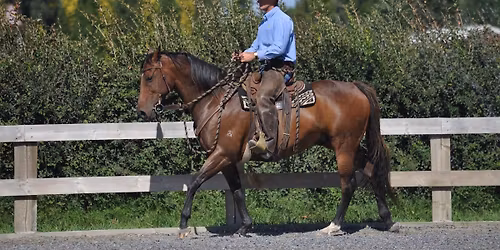 Stage 4 - Beyond the basics 