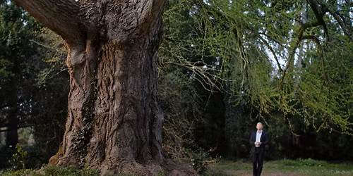 R\u00e1kosligeti Rag\u00e1lyi Elem\u00e9r Filmklub \u2013 Csendes bar\u00e1t