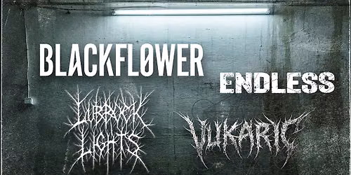Blackflower, Endless, Vukaric & Lubbock Lights @ The Underground