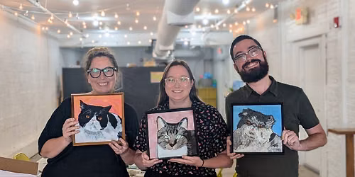 Colorful Pet Portraits