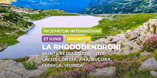 Drume\u021bie \u00eencep\u0103tor - intermediar: Rhododendron Retezat, Circuitul Lacurilor cu Nume de Fete