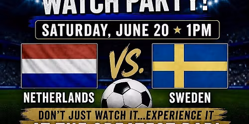 Netherlands vs Sweden World Cup Watch Party at The Greatest Bar