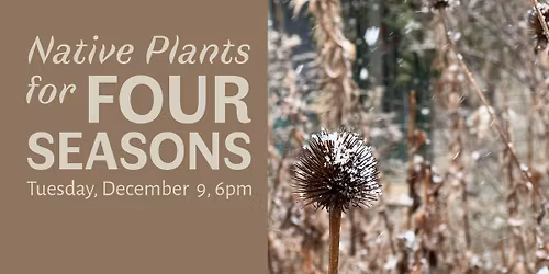 Native Plants for Four Seasons