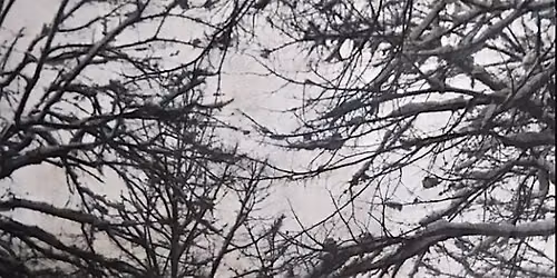 Reverie Baroque: Winter Dreams Remembered
