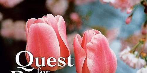 Book Launch Invitation: Quest for Beauty