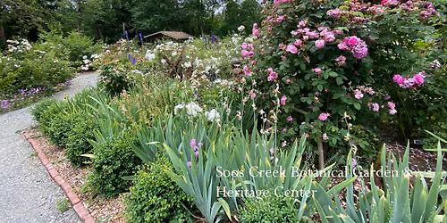 Northwest Heritage Rose Display