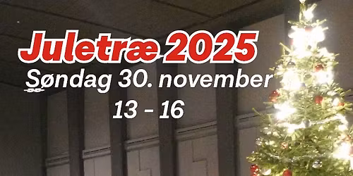 Juletr\u00e6 2025