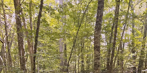 October Nature Hike in Mendon Town Forest
