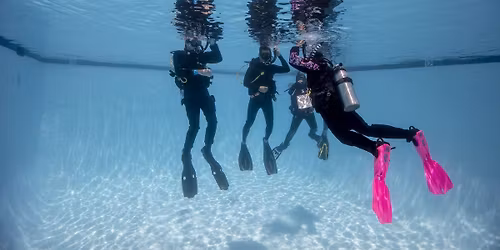 Discover Scuba Diving \u2013 Try Scuba Experience