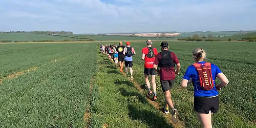 Yellow Belly Back Yard Ultra