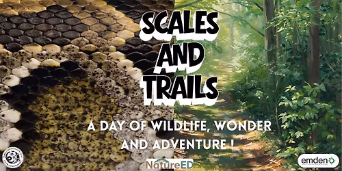 Scales and Trails