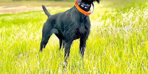 NAPS 2026 Annual Meeting and Cornhusker Shootout in Brainard, Nebraska