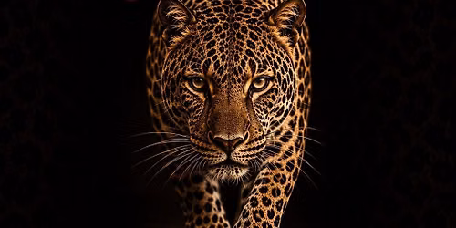 THE LEOPARD BALL