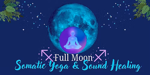 A Full Moon Gentle Somatic Yoga & Sound Bath in the Park