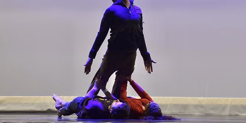 PUSH Physical Theatre at The Young Performing Arts Center