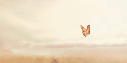 Sj\u00e6lskontakt udviklingsforl\u00f8b \/\/ K\u00f8benhavn