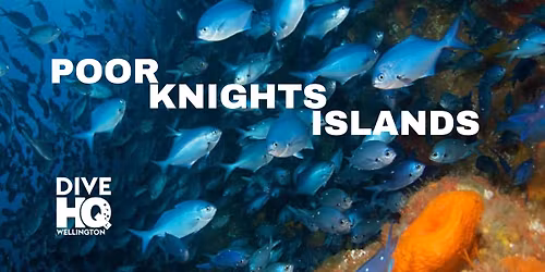 Poor Knights Islands - Club Trip