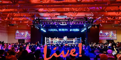 FIGHT BOWL XXXIV - A DECADE OF IMPACT