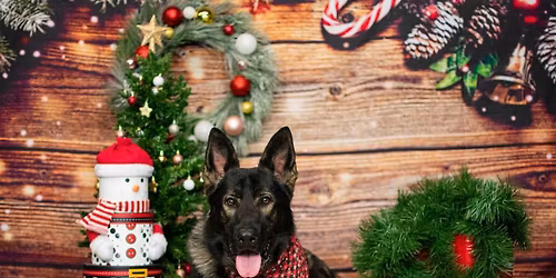 DCC’s Annual Photoshoot