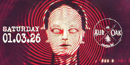 Novel Folly, Arp of the Covenant, LadySlipper