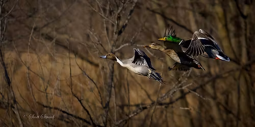 11th Annual Fort Wayne Sportsman Bash