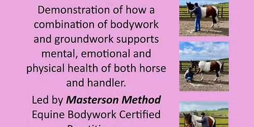Equine Bodywork & Groundwork for Health