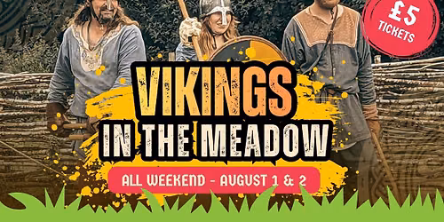 \u2694\ufe0f Vikings in the Meadow: The Ultimate Summer Takeover! \u2694\ufe0f
