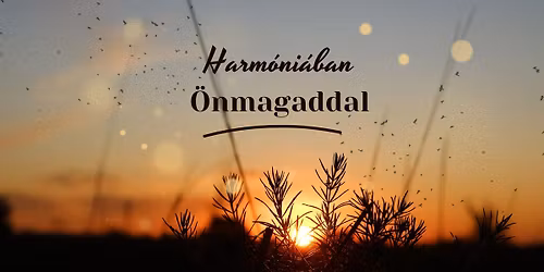 Transzgener\u00e1ci\u00f3s mint\u00e1zatok, avagy csal\u00e1d\u00e1ll\u00edt\u00e1s a h\u00e9tk\u00f6znapokban: el\u0151ad\u00e1s Welsben 