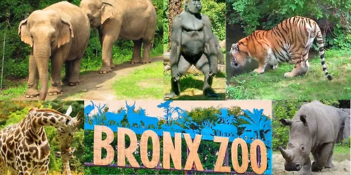 Bronx Zoo: The World's Greatest Zoo!