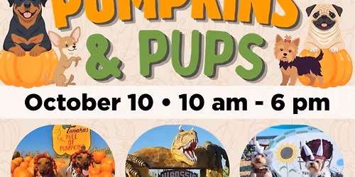 Pumpkins & Pups