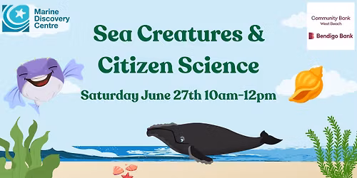 Sea Creatures & Citizen Science - Community Open Day at the Marine Discovery Centre