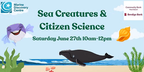 Sea Creatures & Citizen Science - Community Open Day at the Marine Discovery Centre