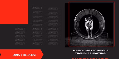 Ajulyty - handling technique troubleshooting workshop 
