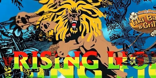 Reggae Night with The Rising Lion Trio