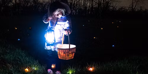 Flashlight Egg Hunt - Timberman Ridge MetroPark