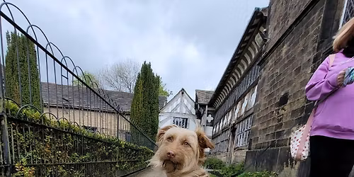 Fun Dog Show at Smithills Hall - 2026