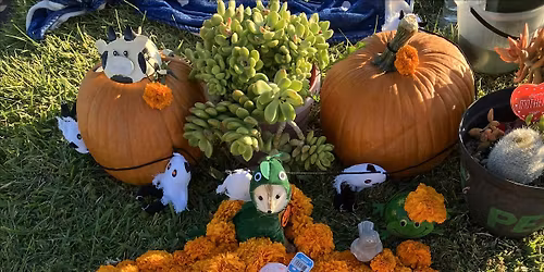 Grieve in Peace Group 4 ALL bereaved families