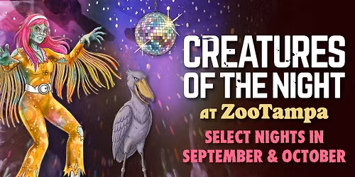Creatures of the Night at ZooTampa