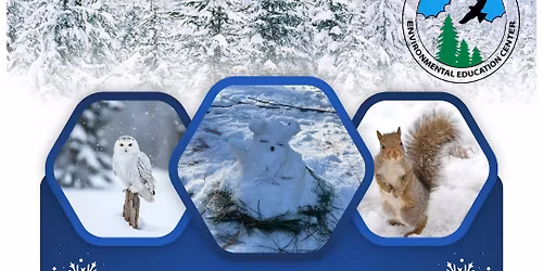 Wildly Wintertime Day Camp-Ages 7-12