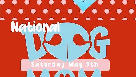 National Dog Mom Day Party at Bark Bark Adventure Park