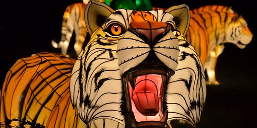 KultureCity Sensory Inclusive Night at Glow Wild