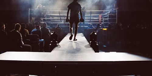 UFC Fight Night: Hernandez vs Rodrigues
