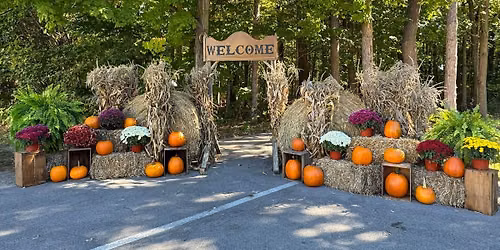 Pumpkin Walk 2026