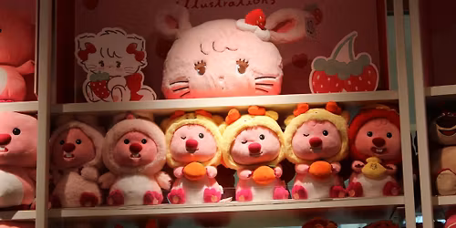 Kawaii Trinkets Market at Urban District Market