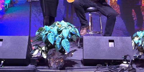 Stef & Mike @ Christkindlmarkt Bethlehem