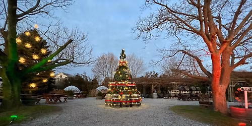 Barrel Tree Lighting