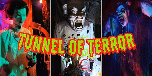 Tunnel Of Terror Home Haunt