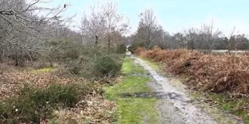 A Detailed UAS (drone) Survey of Ryknield Street in Sutton Park